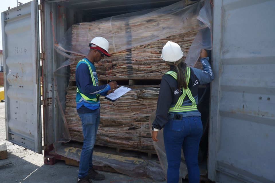 IMAG FILIAL PTO CABELLO 08