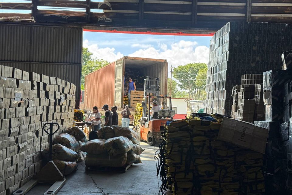 alccs fil carabobo 02